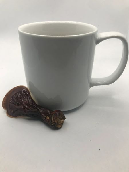 Wild Foraged Dry Sliced Reishi