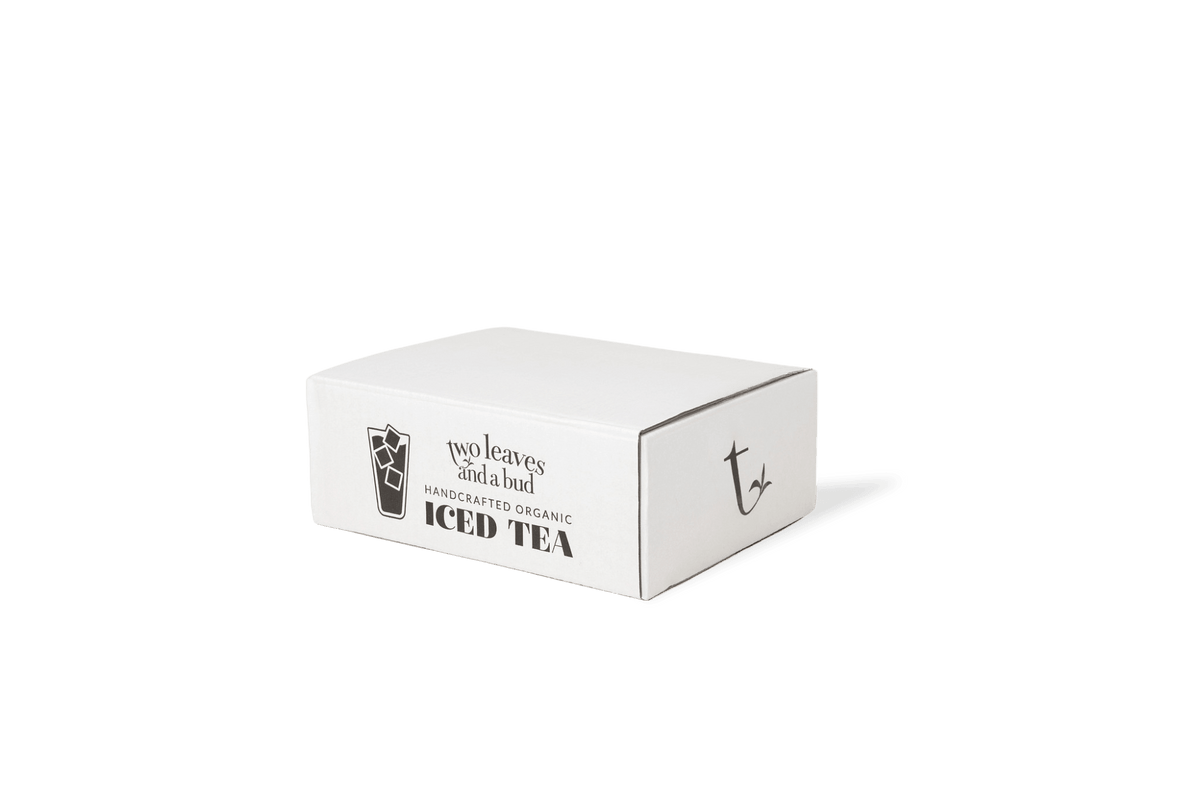 Iced Tea Filter Bags PA-IT1008