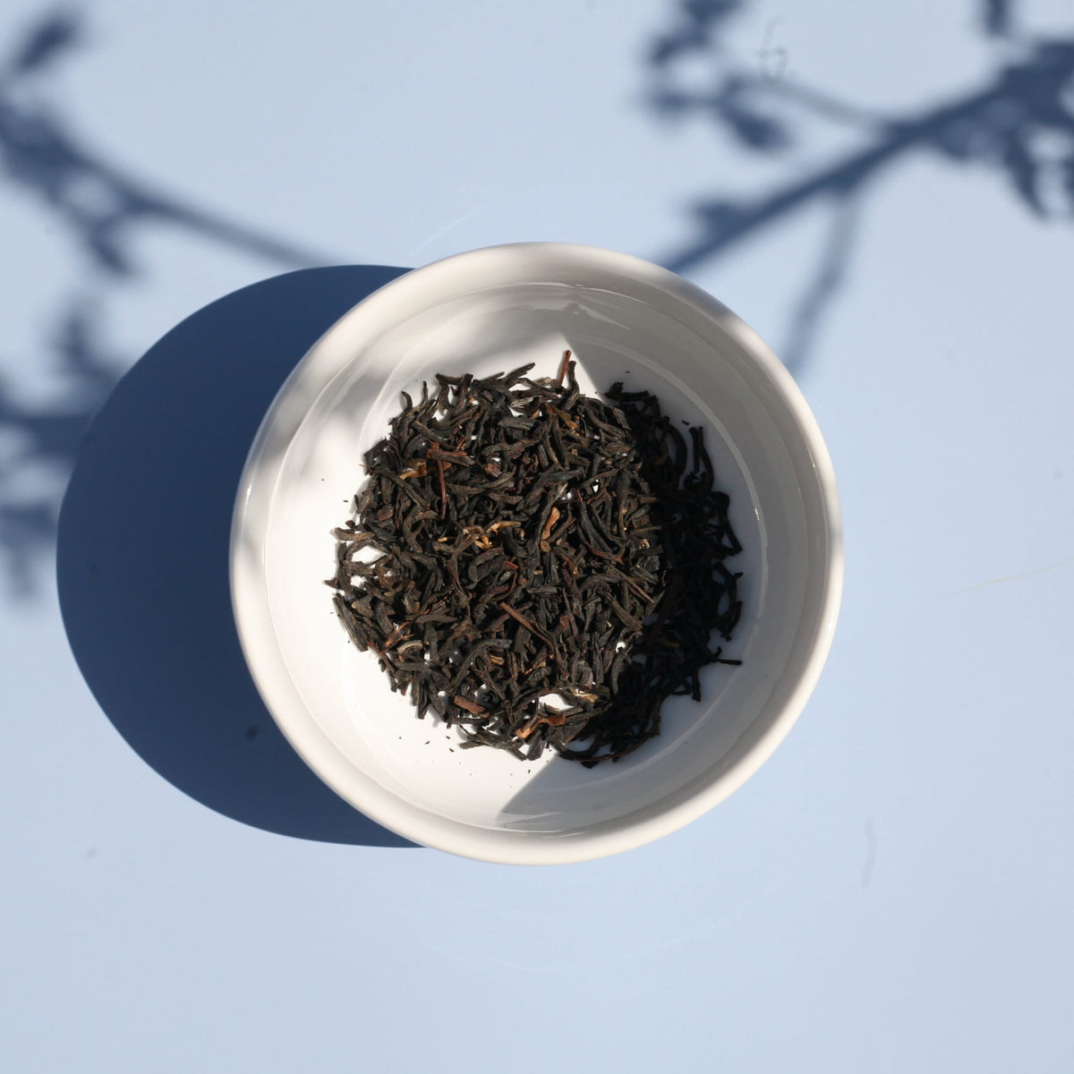 Assam Black Tea 0003