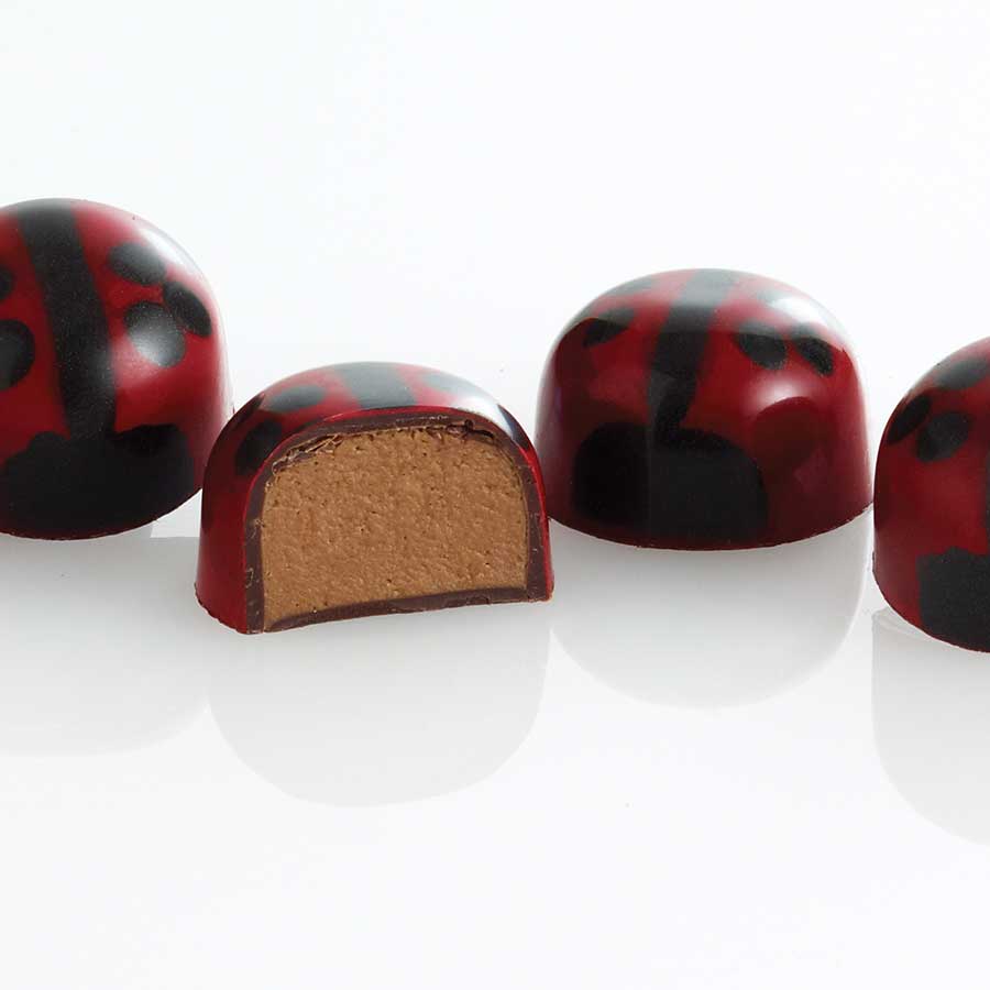 Praline Ladybugs W-PRAL-003