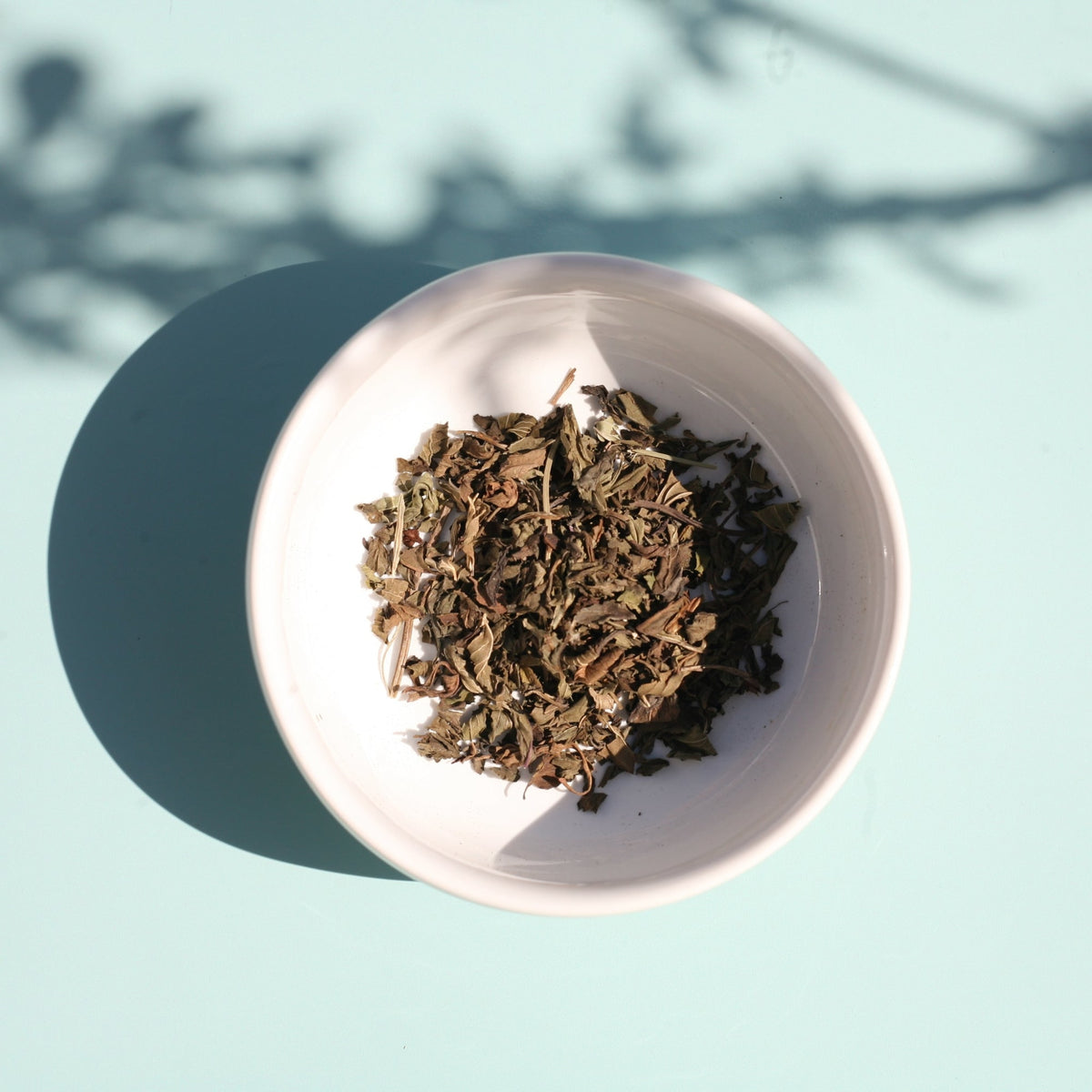 Fresh Mint 0005