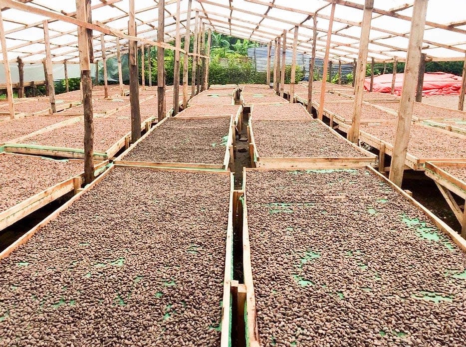 Semuliki Forest Uganda - 38% Milk Chocolate 14