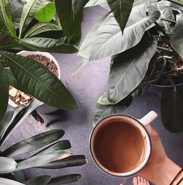 Organic Pure Cacao: Thriving Tanzania 100%