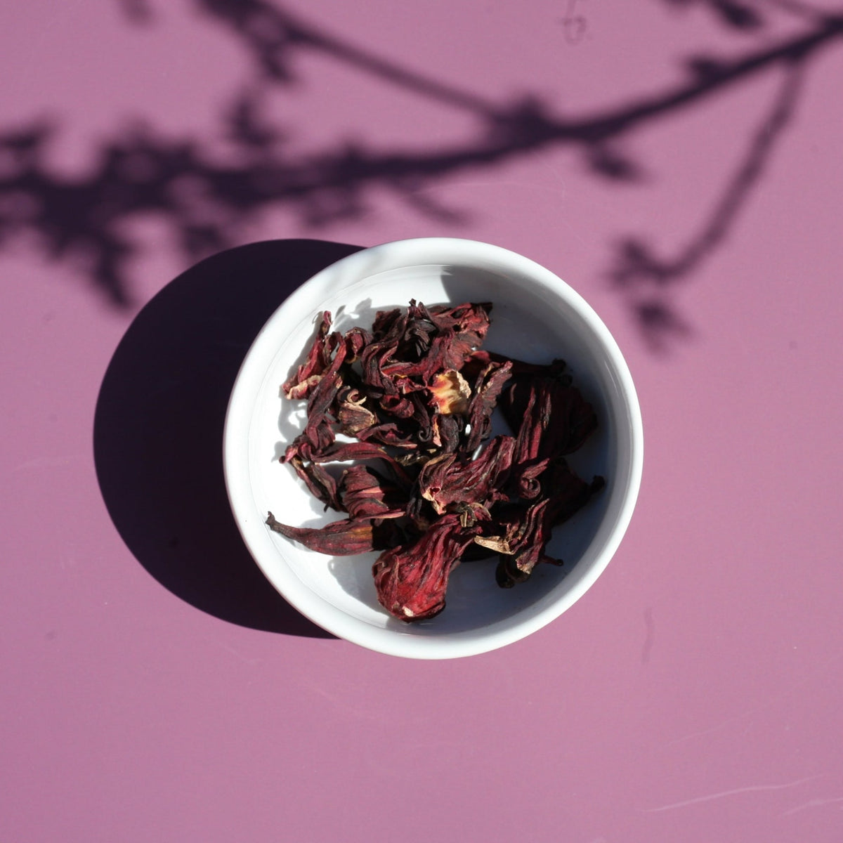 Hibiscus Flowers 00010