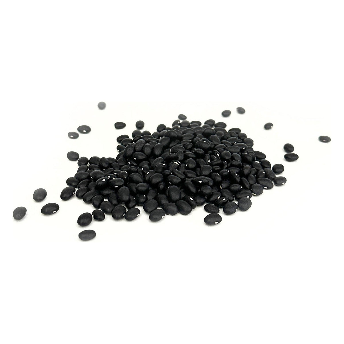 Close-up of 1000 Springs Mill Organic Black Beans as it comes out of the package