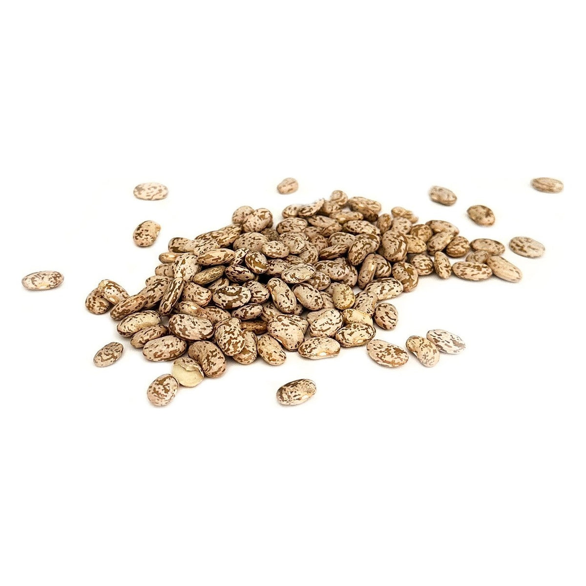 Close-up of 1000 Springs Mill Organic Pinto Beans as it comes out of the package