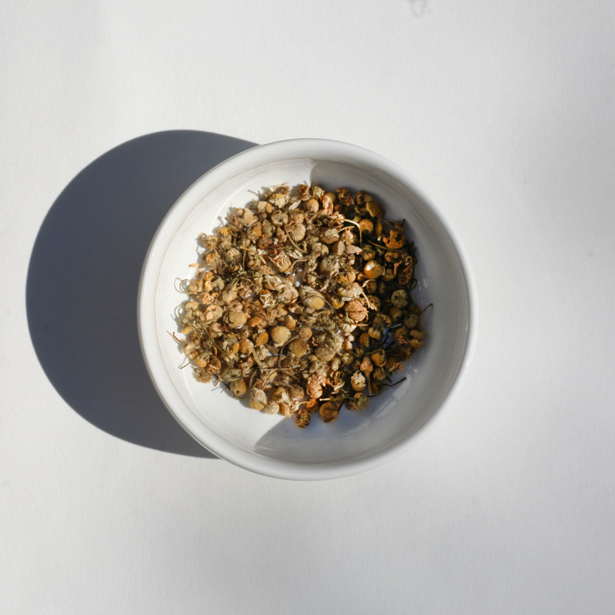 Chamomile Flowers 0004