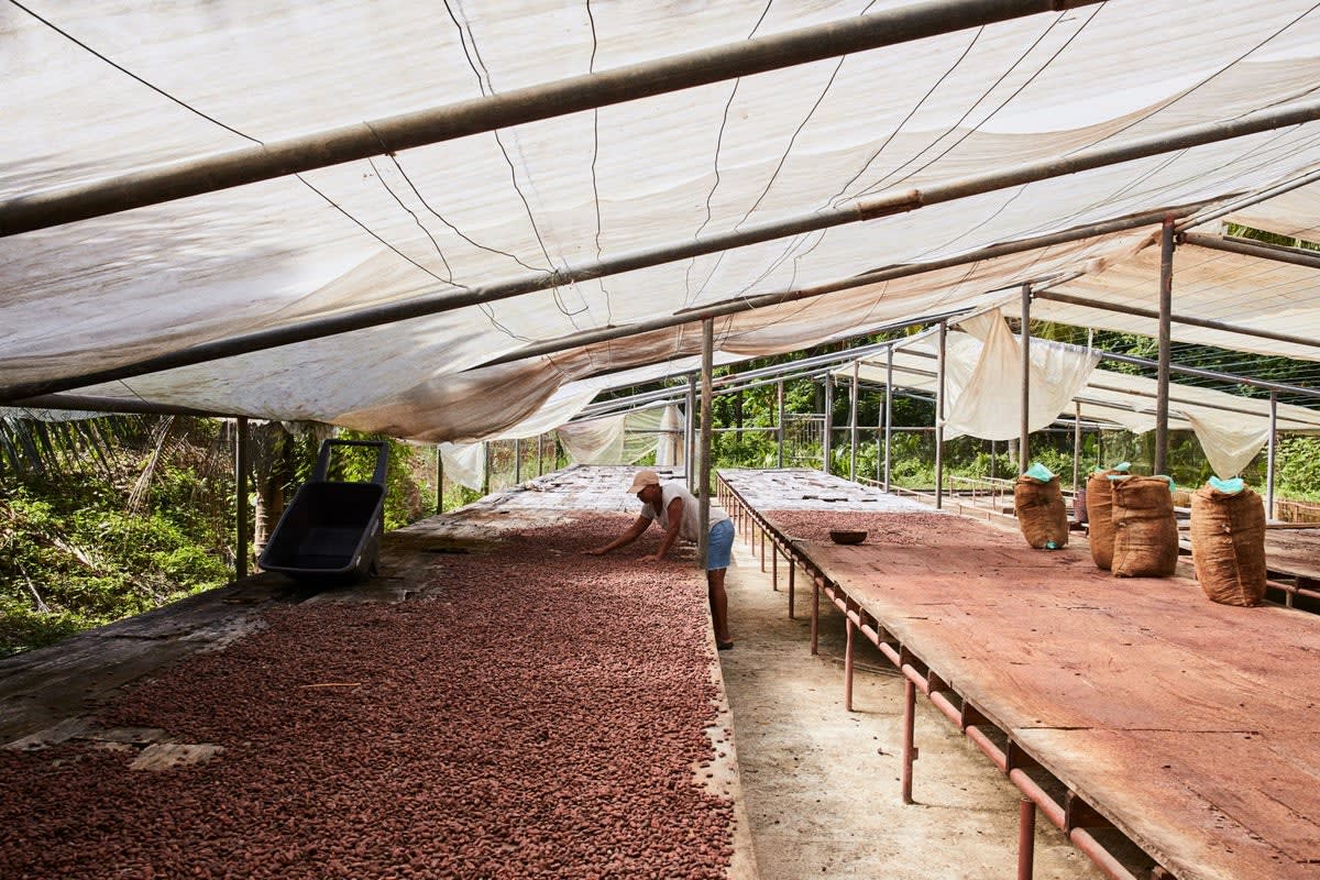 Bachelor's Hall Estate Jamaica - 85% Dark Chocolate 2