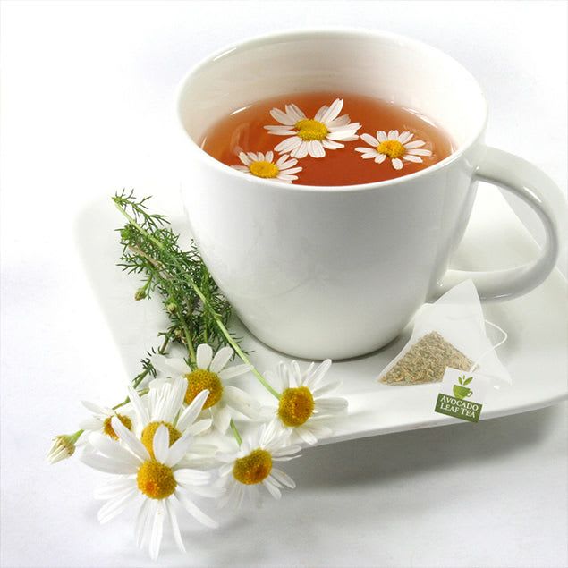 Avocado Leaf Chamomile Blend 8603384002027