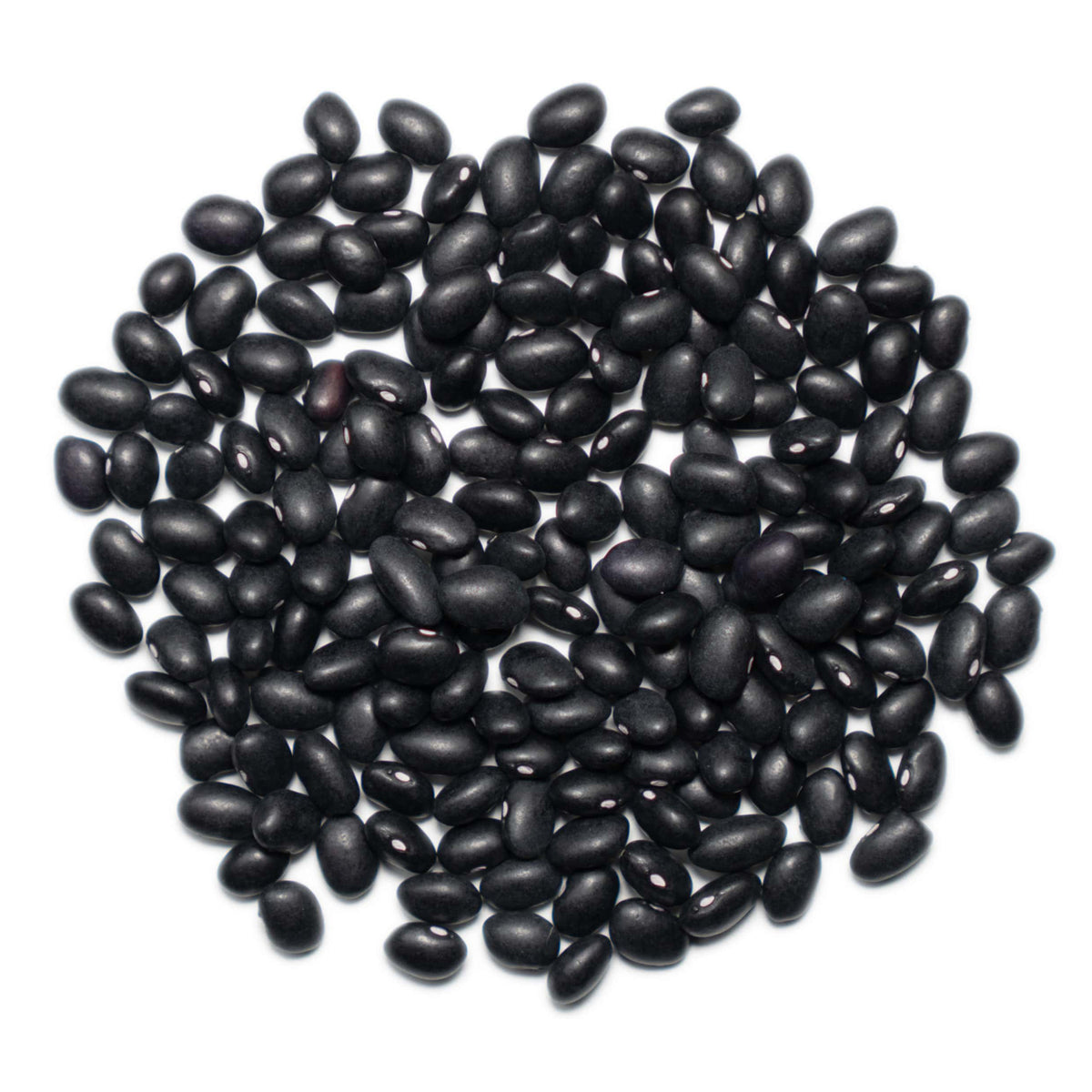 Frijoles Negros Orgánicos