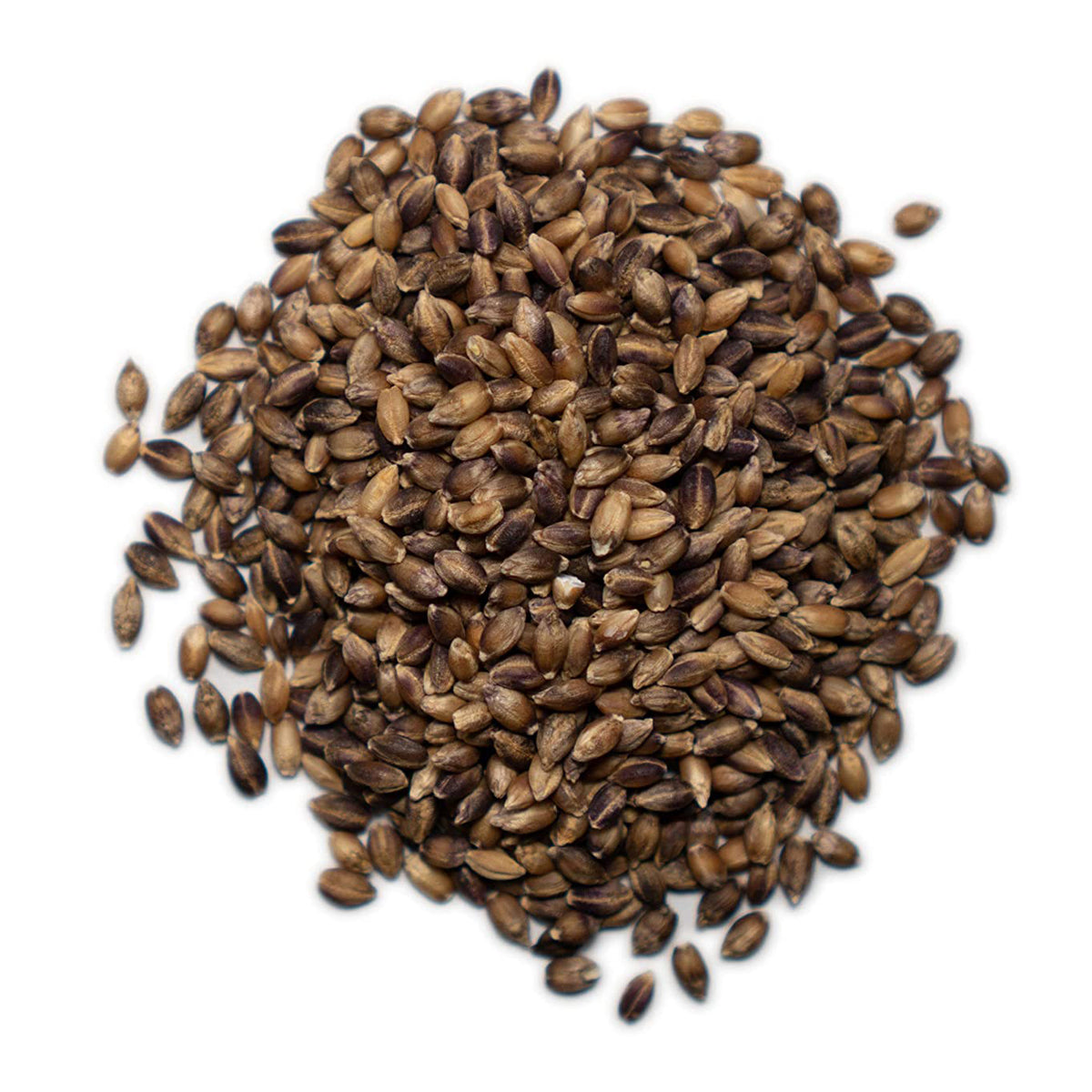 Organic Purple Barley