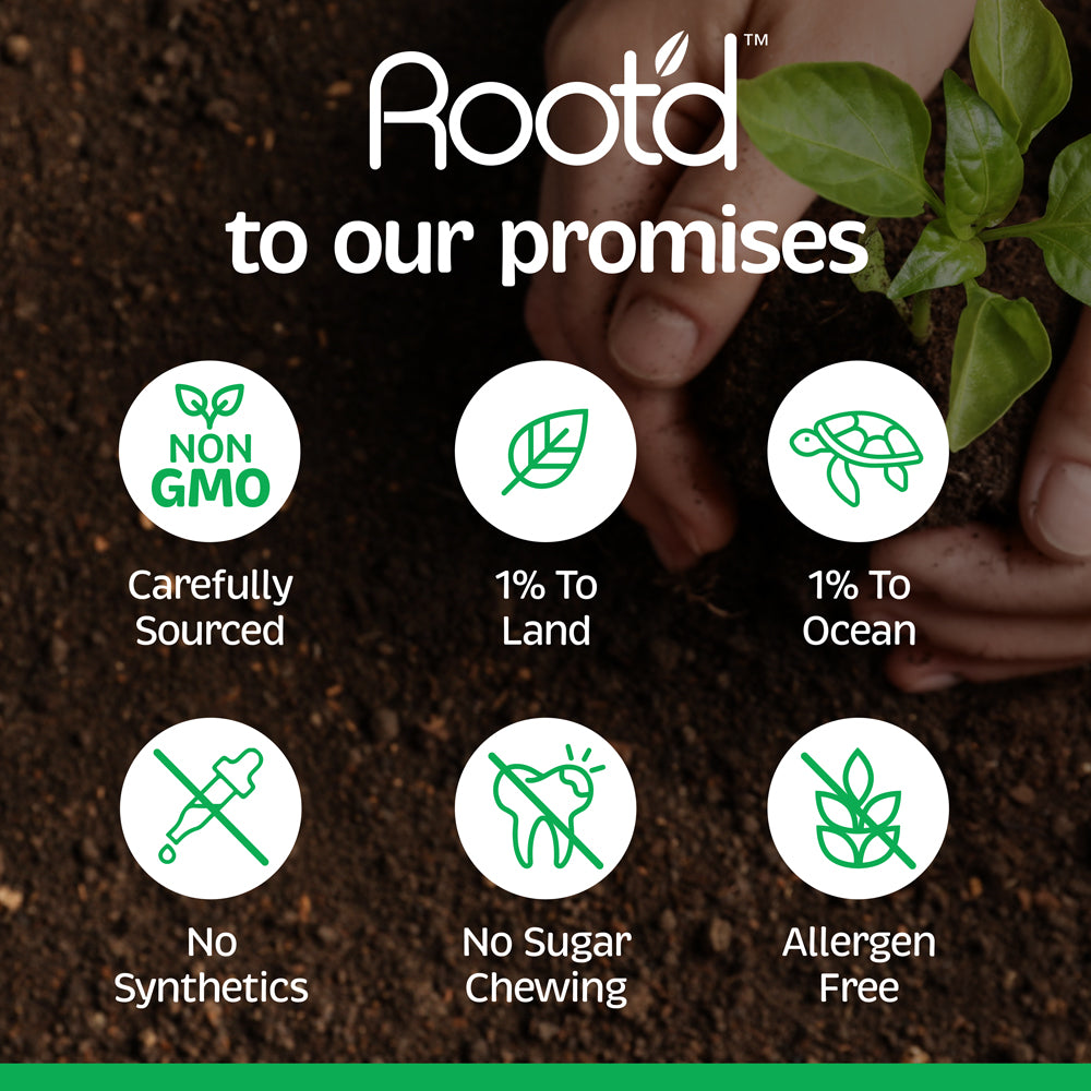 Orchard Berry Sugar-Free Electrolytes+Full Spectrum Multivitamin For Men