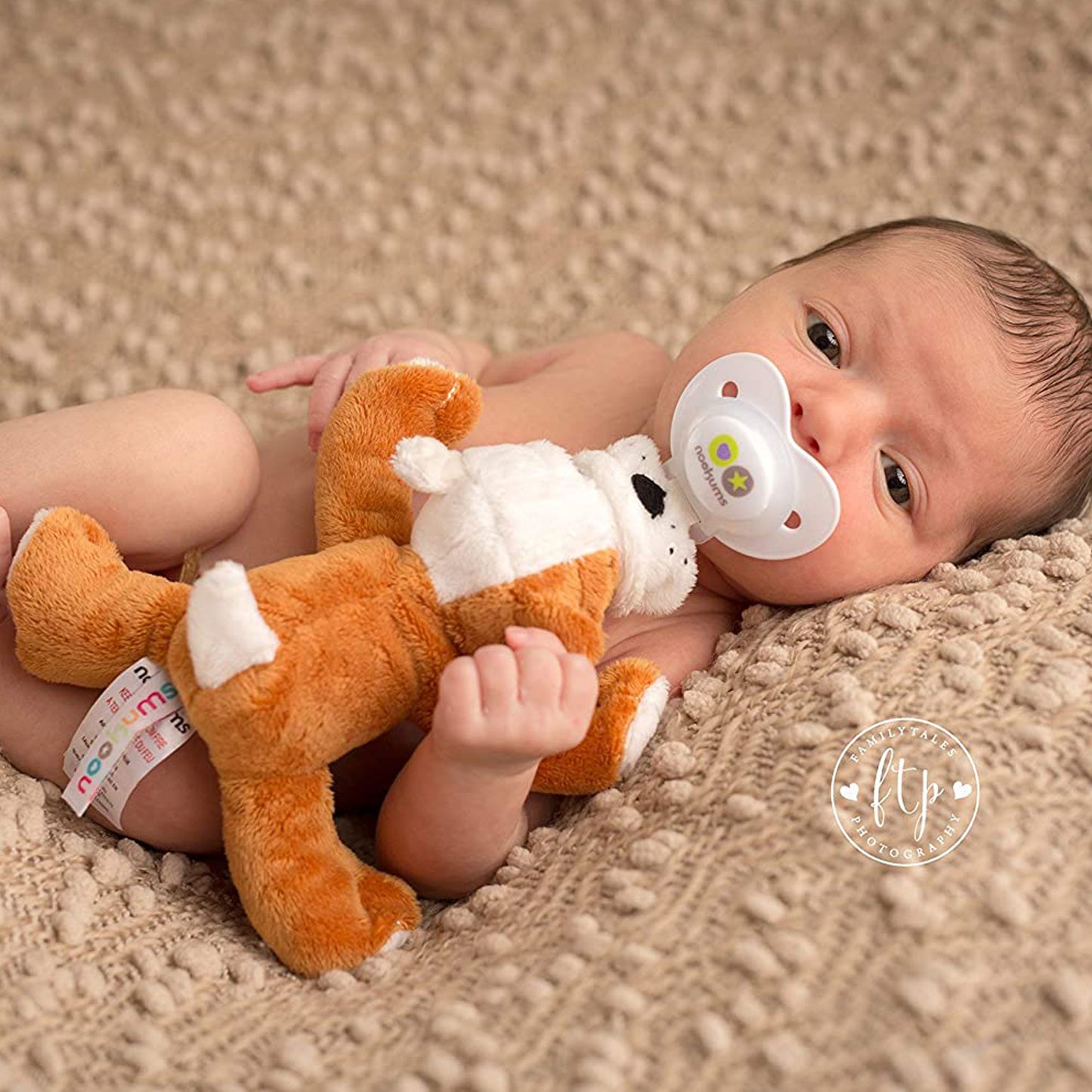 Pacifier Holder and Rattle - Barkley The Bull Dog