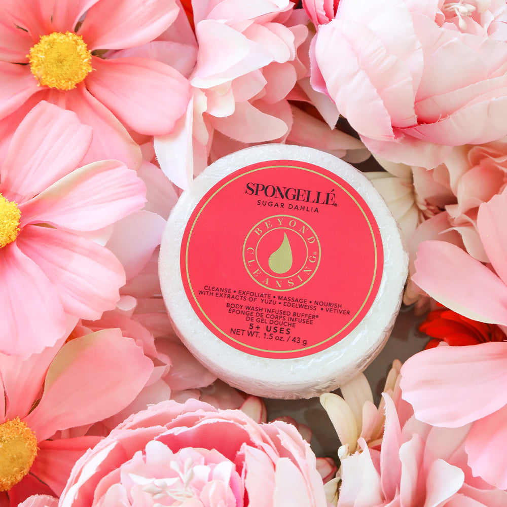 SPONGELLE Sugar Dahlia Spongette