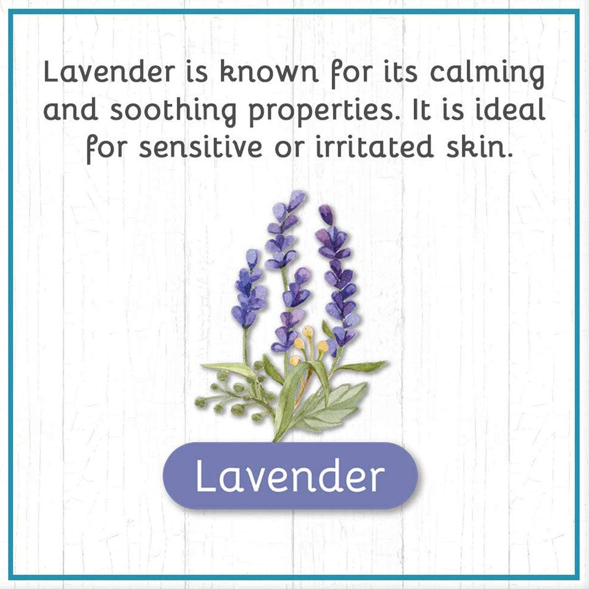 Jabón para lavar ropa con leche de cabra de Daisy - Lavanda