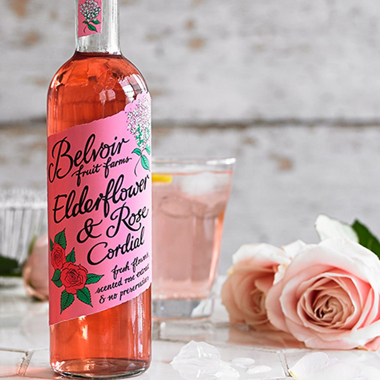 Organic Elderflower and Rose Lemonade