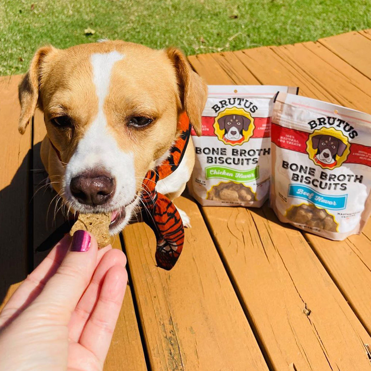Bone Broth Biscuits
