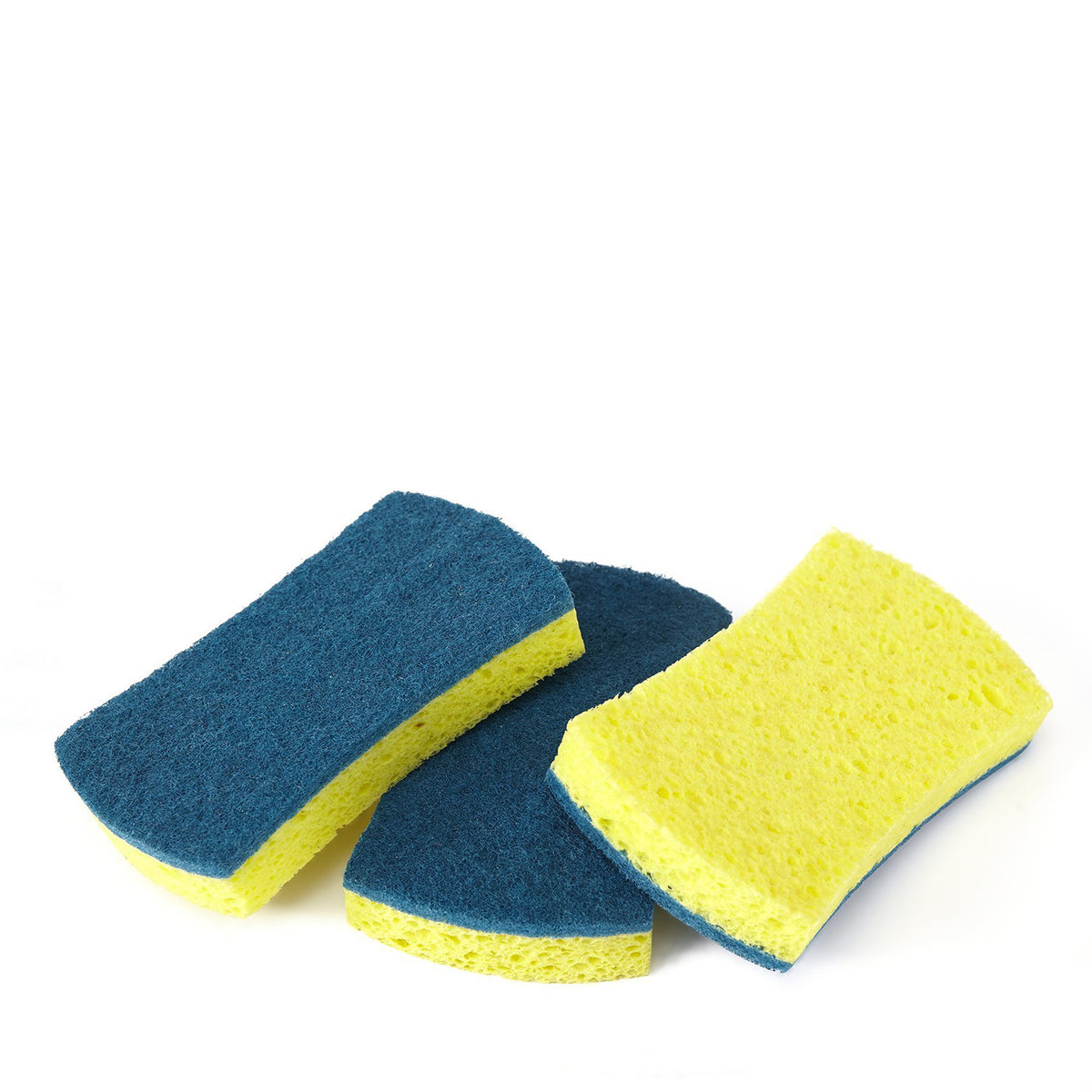 Sponges