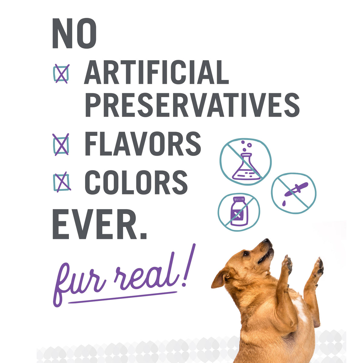 Alimento seco para perros Naked Essentials