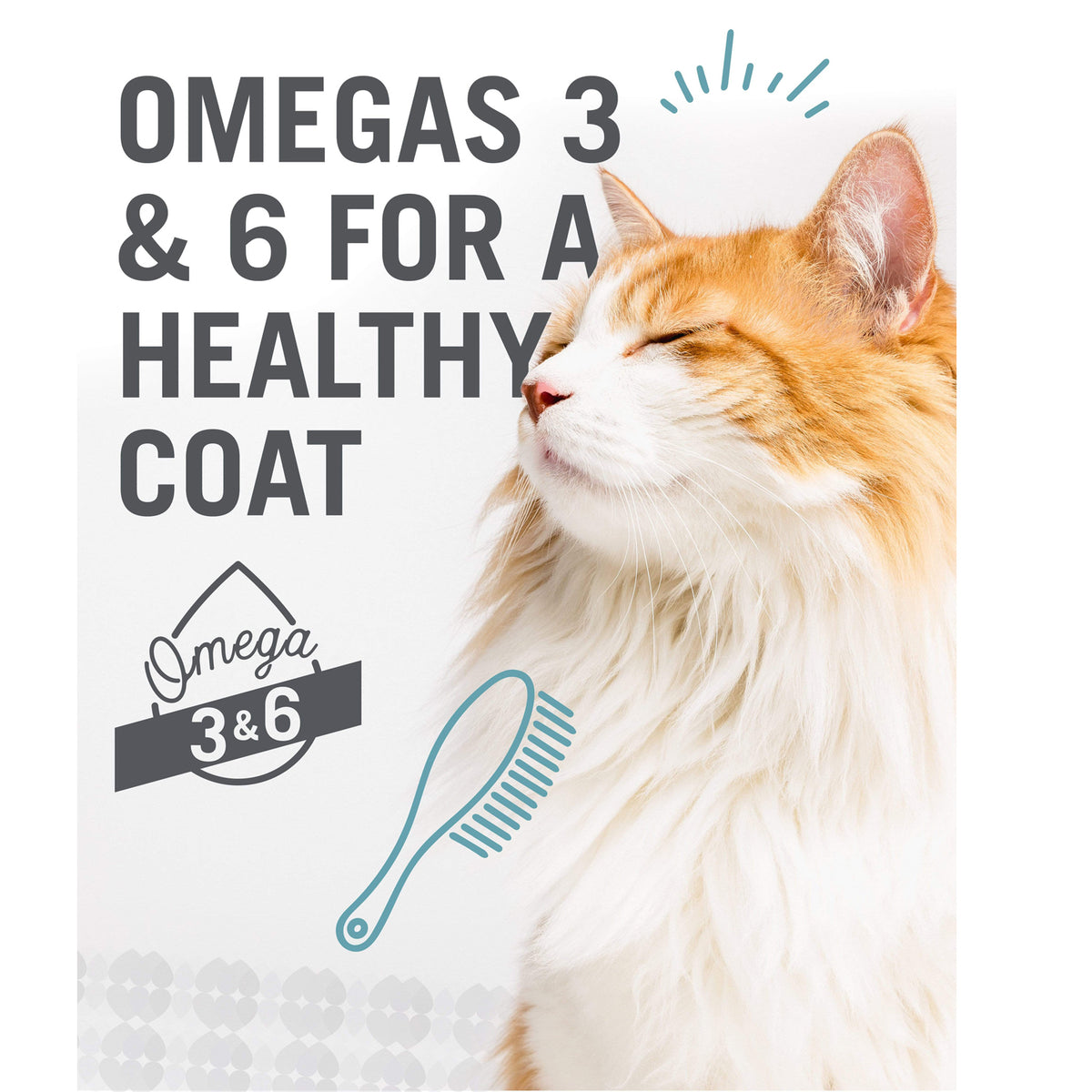 Pack varié de nourriture en conserve pour chats