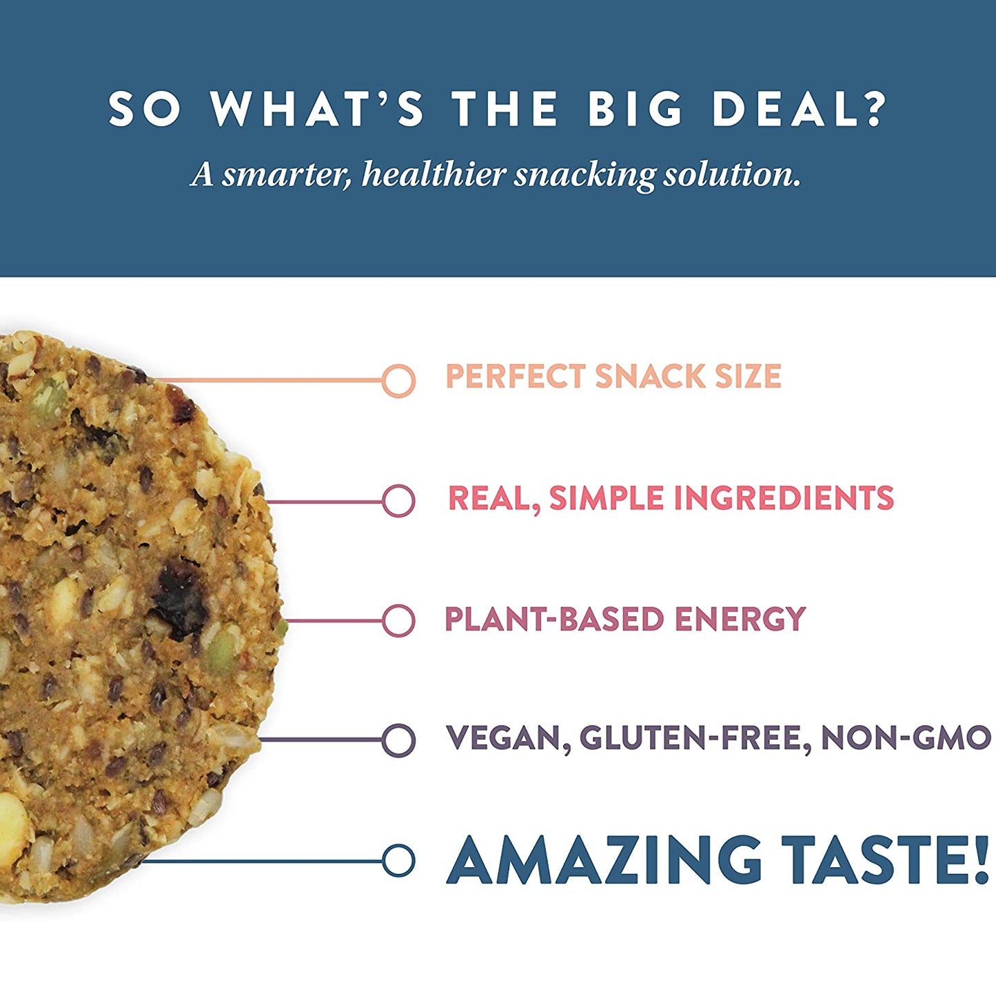 Wanderlust Protein Bars