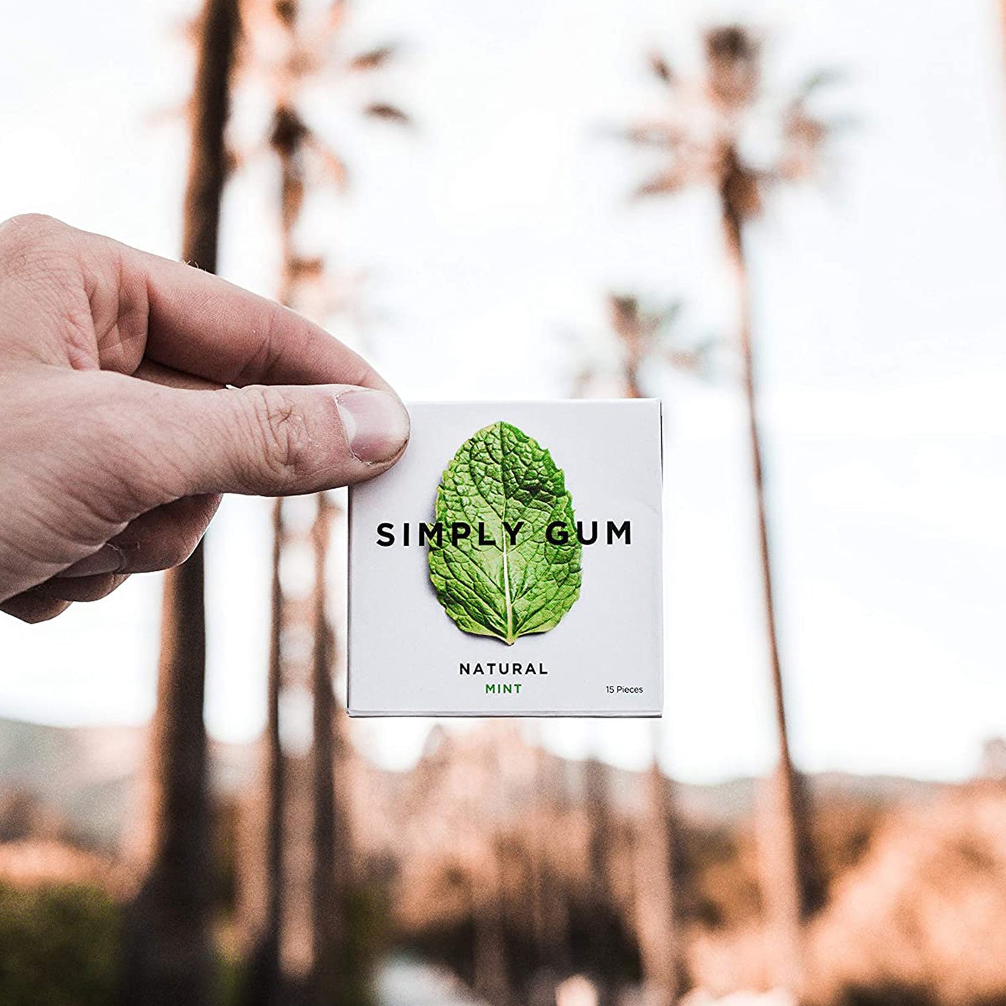 Peppermint Natural Chewing Gum