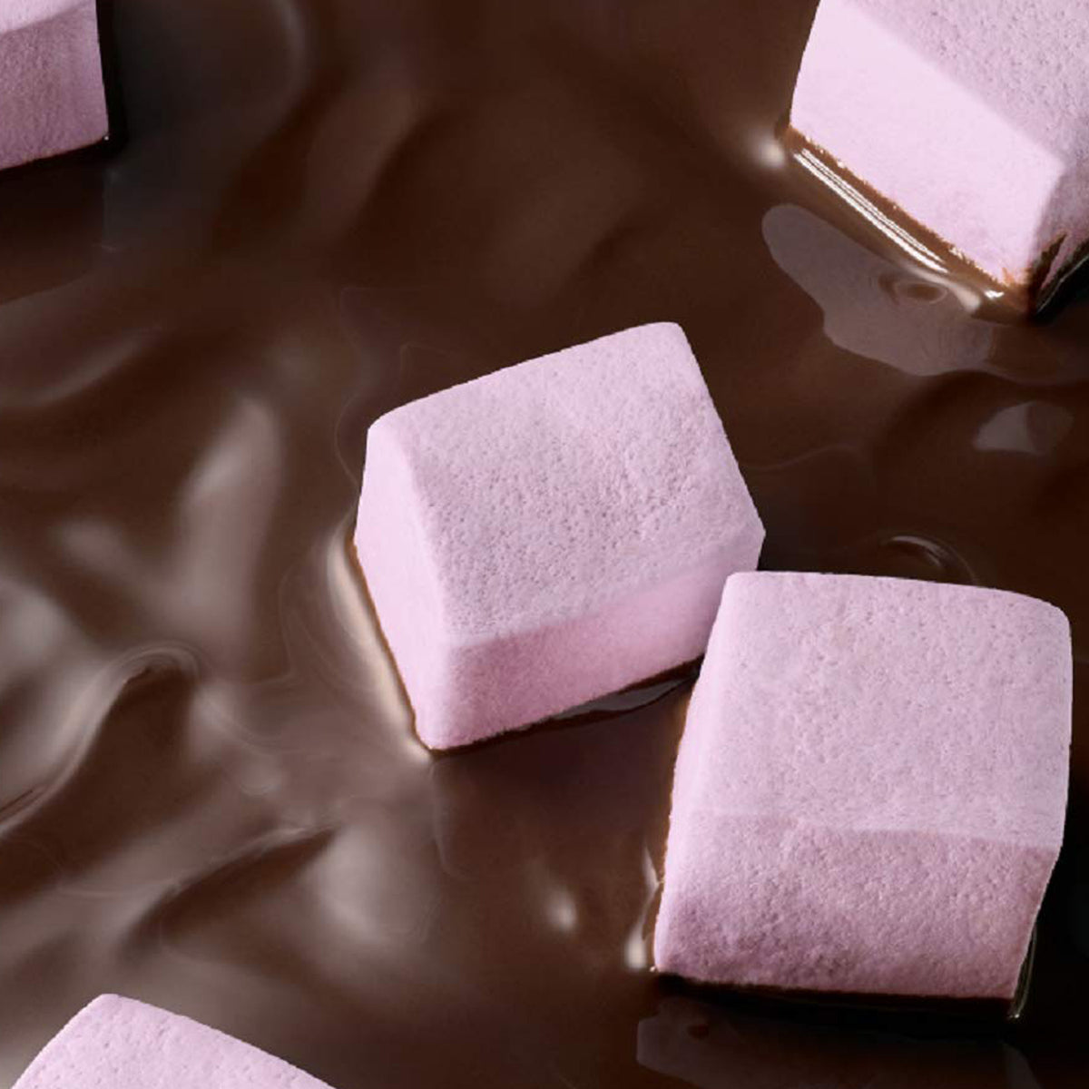 Malvavisco bañado en chocolate amargo