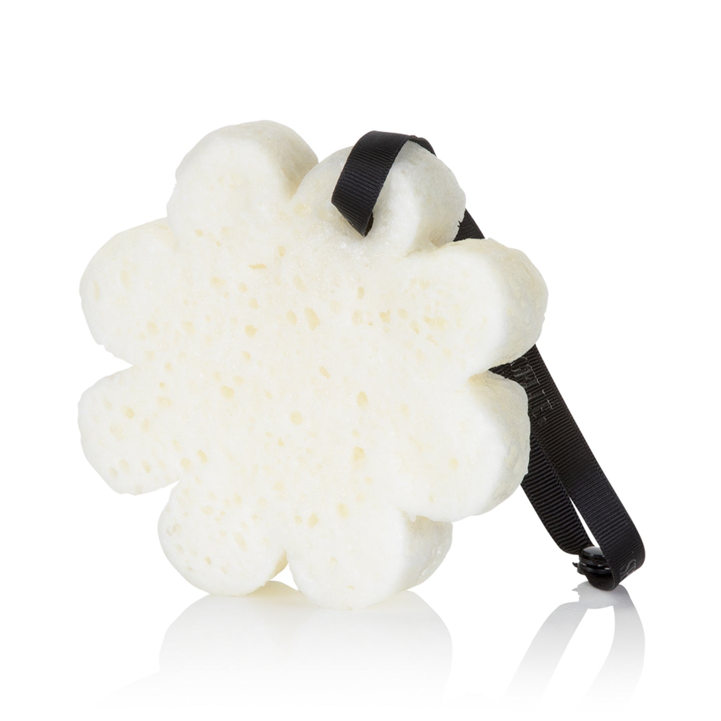 Beach Grass Boxed Flower