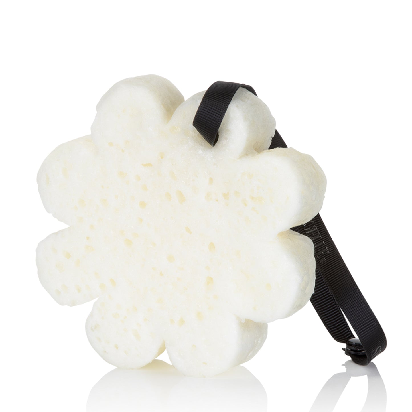 French Lavender Boxed Flower