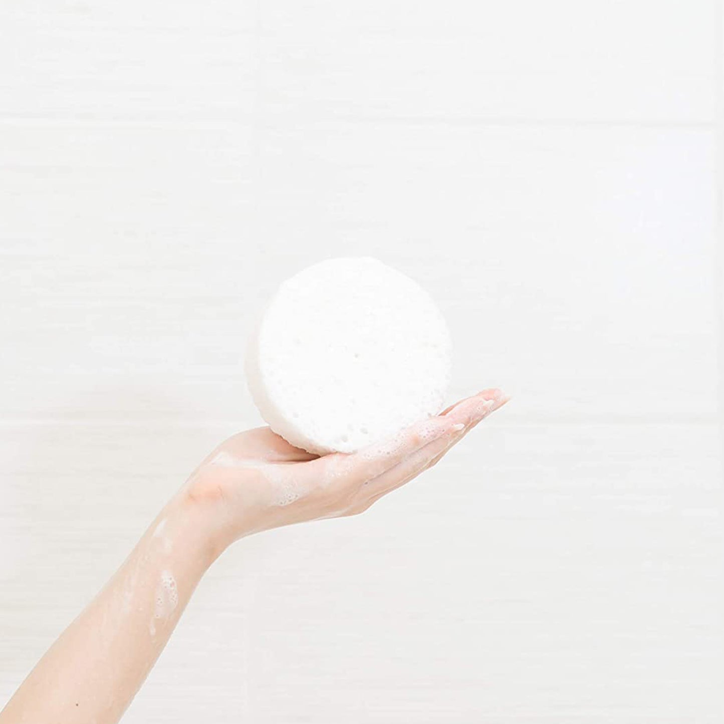 Sugar Dahlia Spongette