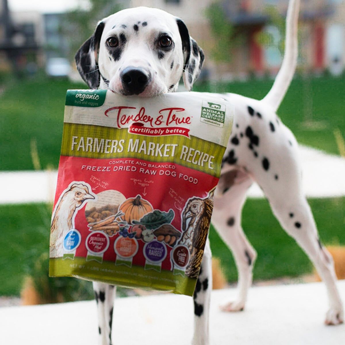 Farmers Market Recipe Freeze Dried Raw Dog Food