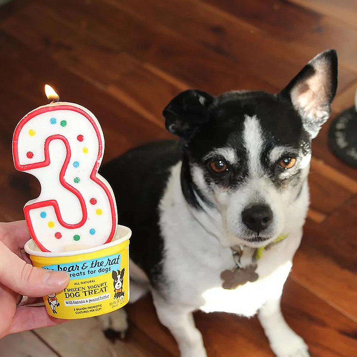 Golosinas para perros con yogur helado