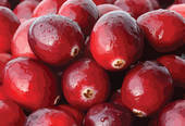 Ah Jeez Cheeseballs - Sweet Cranberry