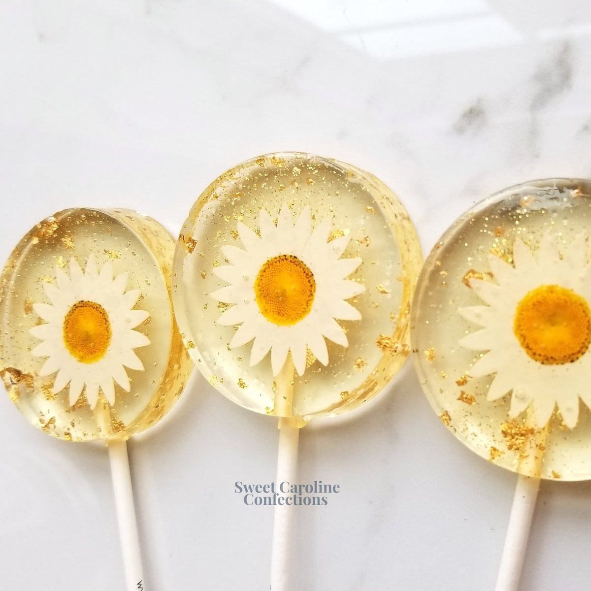 Daisy and Gold Lollipops, Mandarin Orange, 10/Case - VEGAN 00006