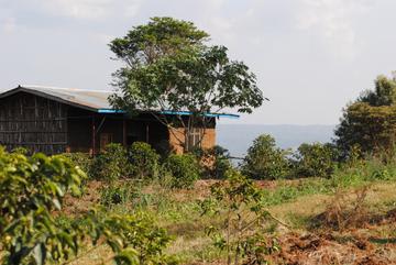 Ethiopia - Two Brothers Natural