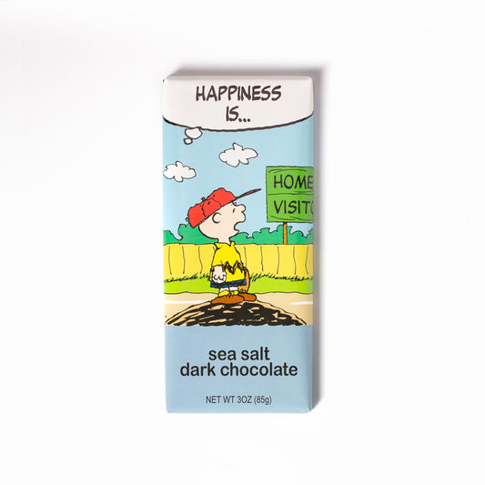 Astor Chocolate Peanuts Everyday 3oz Bars - Charlie Brown - Sea Salt Dark Chocolate