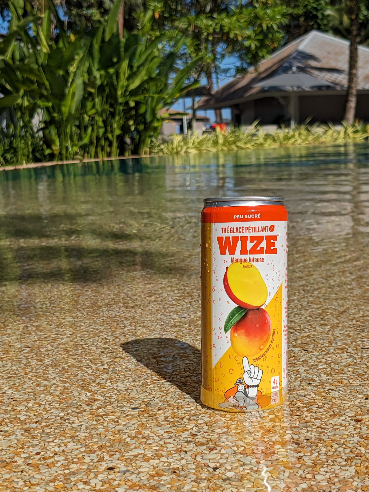 Iced Tea WIZE-RTD-MA-SPKL
