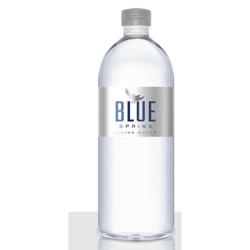 Blue Spring Living Water Blue Spring Living Water - 16.9oz