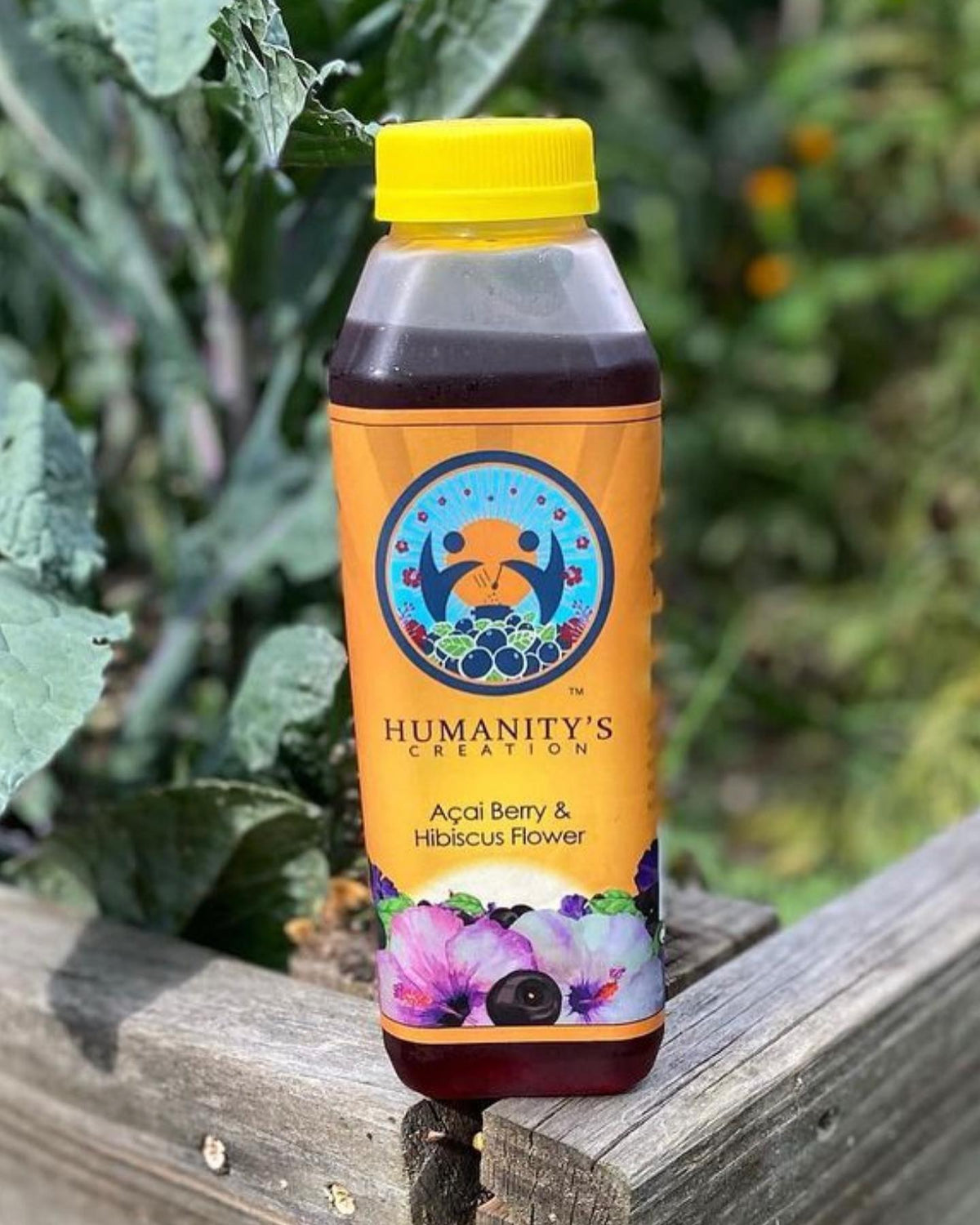Humanity's Creation Tea