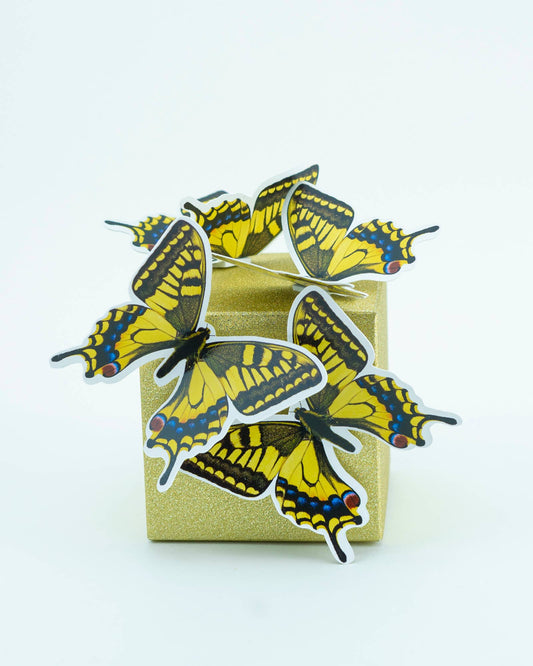 Chandelier Cards Swallowtail Butterfly Spring Chocolate Box