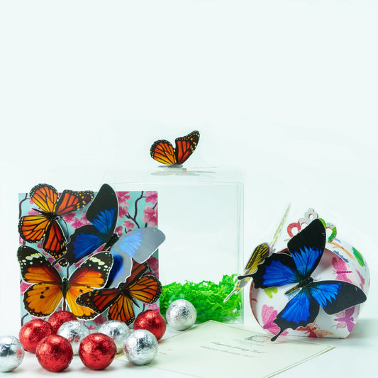 Chandelier Cards Beautiful Butterflies Celebration Box, By Chandelier Cards