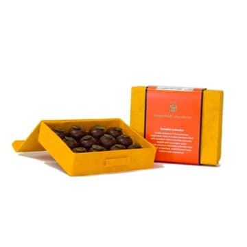 Chocopologie Pumpkin Collection - Medium