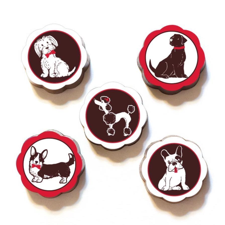 Chouquette Chocolates Dogs Chocolates