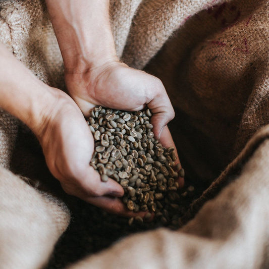 Common Good Coffee Roasters Indonesia Mandheling