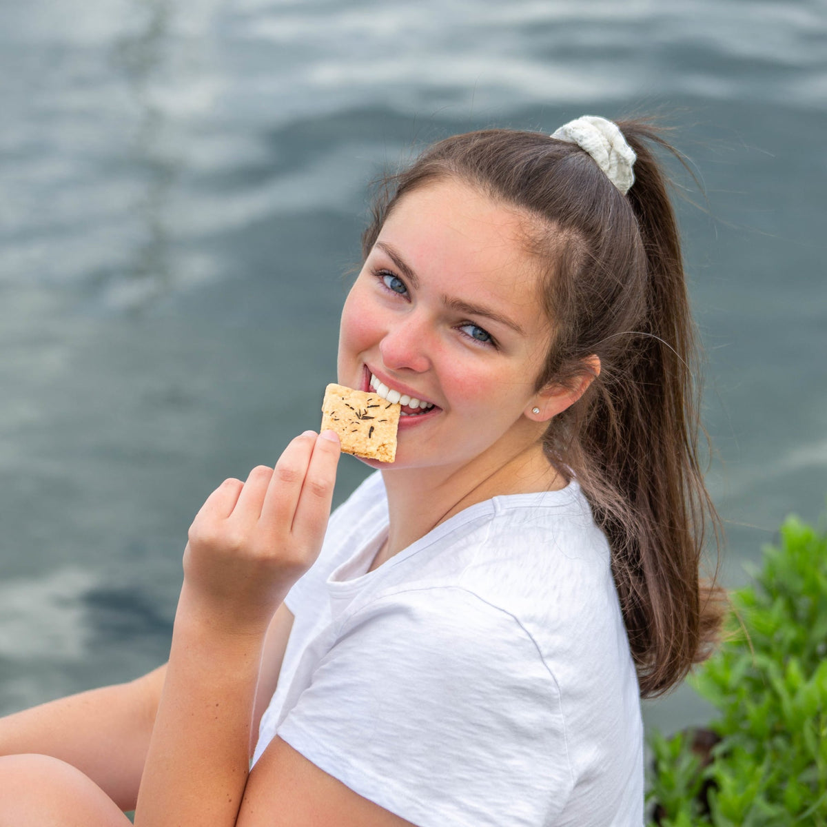 Italian Cookie Brittle BRO36ROS6