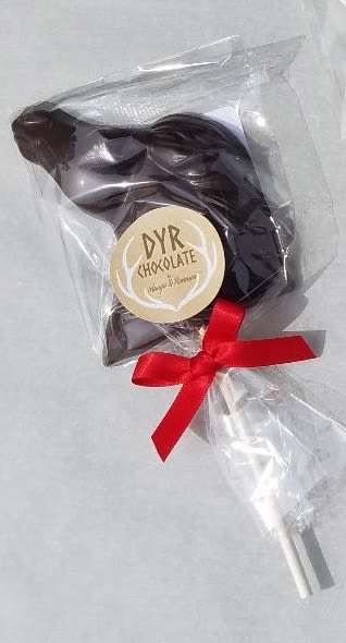 DYR Chocolate by Manya & Roumen Horse Chocolate Pop