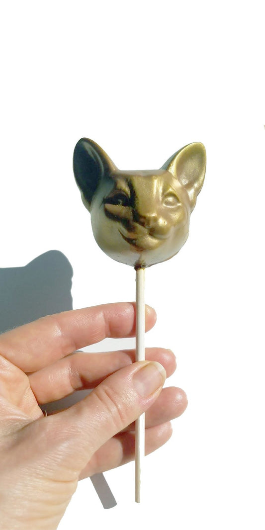 DYR Chocolate by Manya & Roumen Milk Chocolate Cat Pop