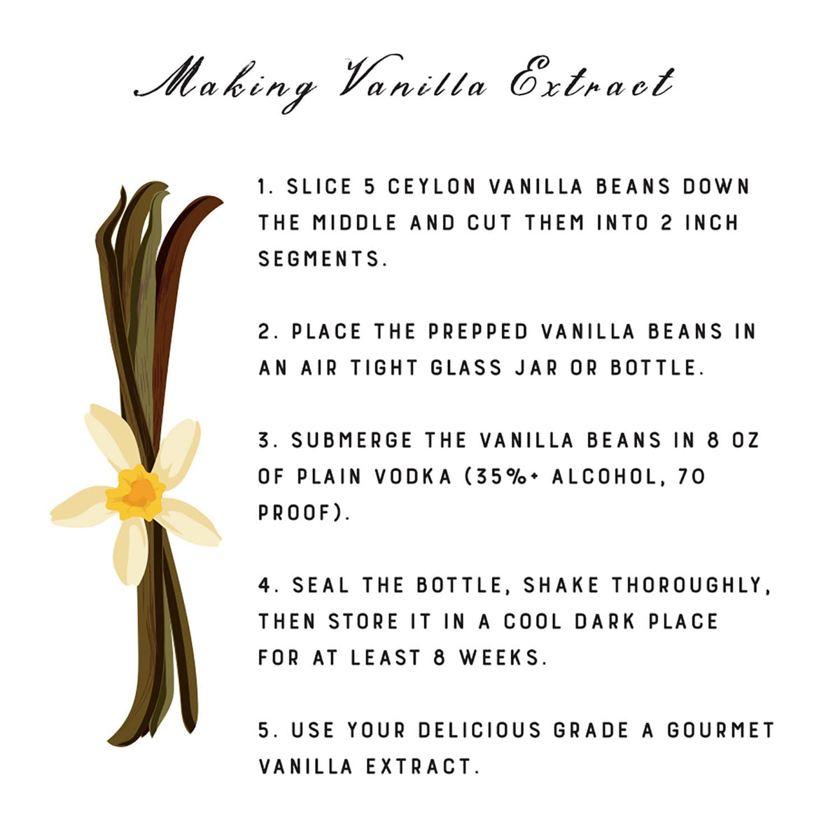 Vanilla Beans (Grade A Gourmet) ecspice3-10