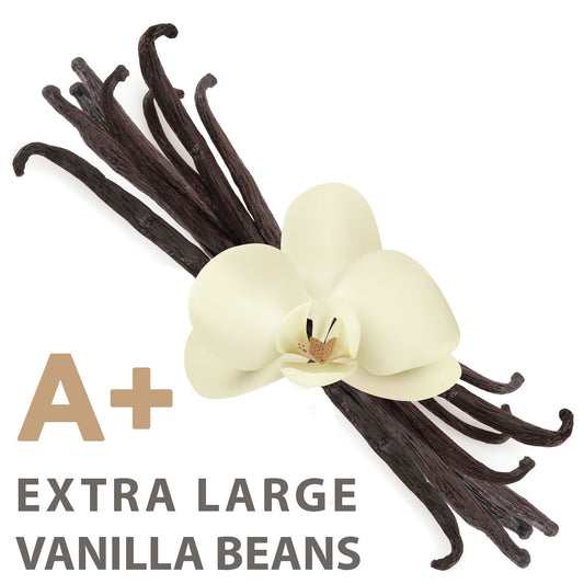 Elephant Chateau Vanilla Beans (Grade A Gourmet) - Ecspice3-10