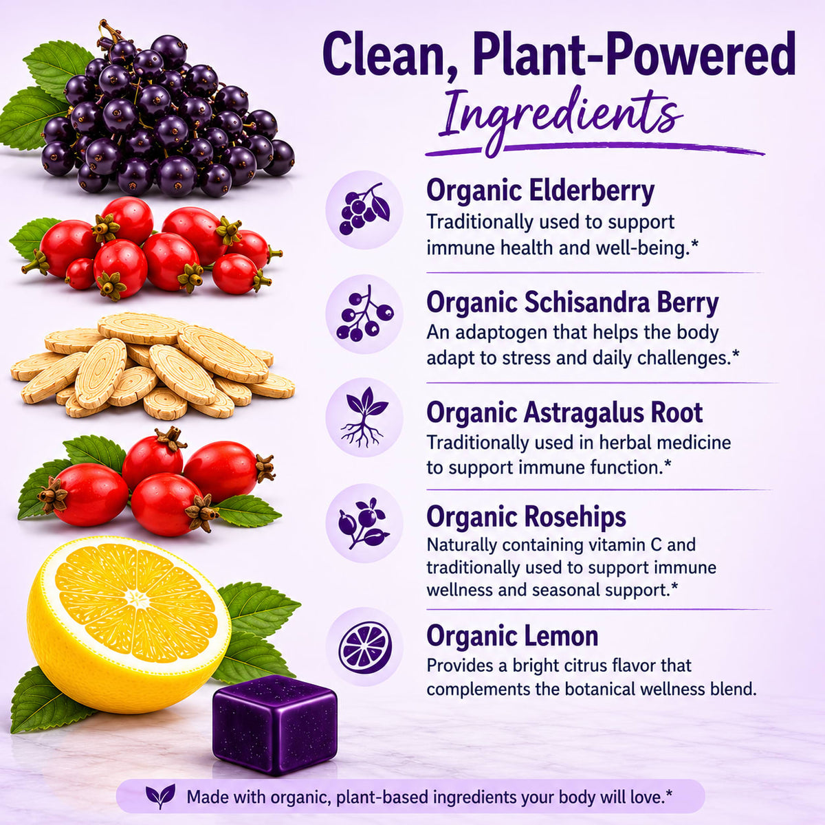 Wellness Organic Botanical Lozenges – Immune and Seasonal Support – Elderberry, Schisandra, Lemon, Rosehips – Gluten-Free, Non-GMO, Vegan* ECSBWS009 - 4